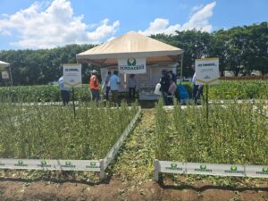 Más de 500 productores del Norte Integrado participan en Exposoya del Norte y apuestan por la sostenibilidad del suelo